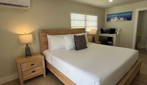Room, 1 King Bed, Non Smoking