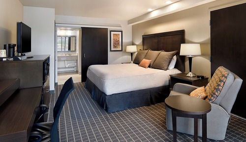 King Handicap with Roll-in Shower