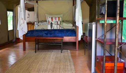 Basic Tent