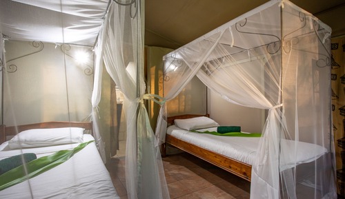 Basic Double Room
