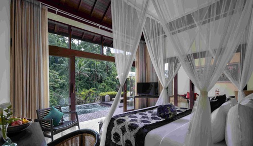 Jungle Pool View