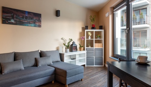Economy Studio