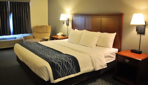 Standard Room, 1 King Bed