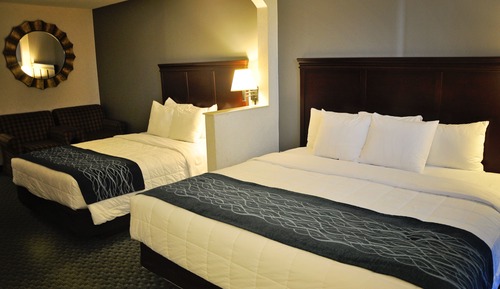 Deluxe Room (1 King and 1 Queen bed)