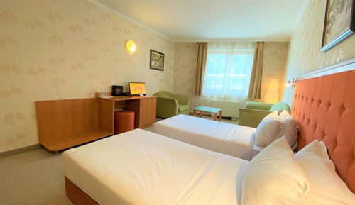 Superior Double or Twin Room (Free Fitness and Sauna )