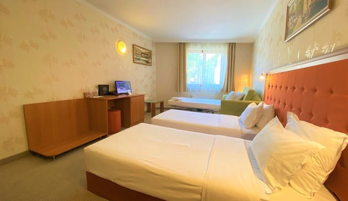 Triple Room (Free Fitness and Sauna )