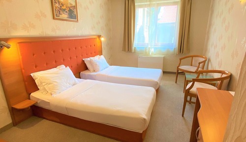 Double or Twin Room (Free Fitness and Sauna )