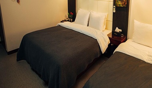 Standard Twin Room - Free Airport Shuttle