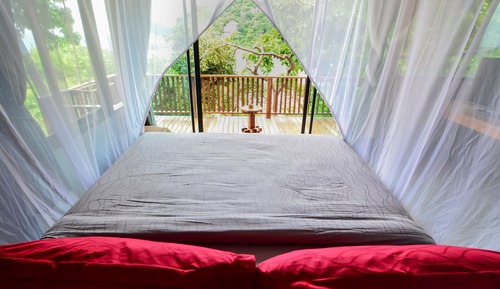 Superior Room, 1 King Bed, Sea View