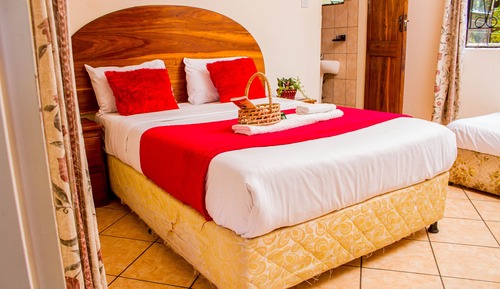 Standard Twin Room, Garden View