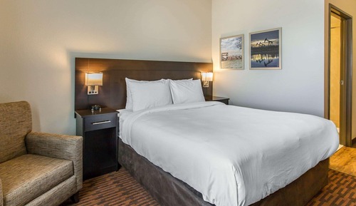 Room, 1 Queen Bed, Accessible, Non Smoking (Efficiency)