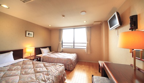 Compact Twin Room, Mountain View