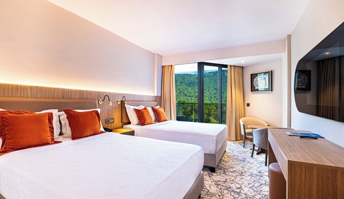 Standard Room (Land View)