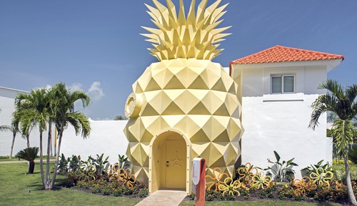 Room (THE PINEAPPLE)