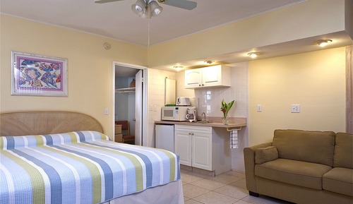 Standard Room, 1 King Bed with Sofa bed, Non Smoking, Private Bathroom