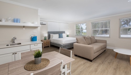 Superior Studio, 1 King Bed with Sofa bed