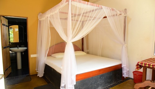 Standard Room, 1 Double Bed, Pool View, Poolside
