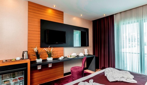 Deluxe Double or Twin Room