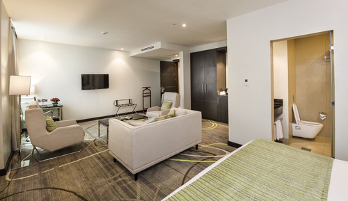 Executive Room, 1 King Bed