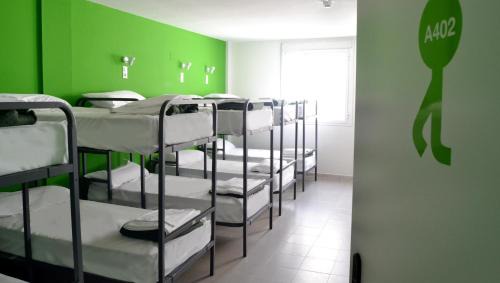 14-Bunk Bed in Mixed Dormitory Room