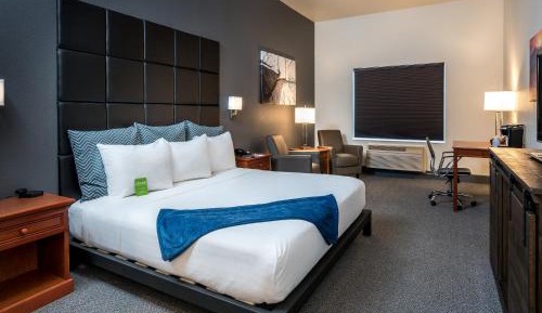 Standard King Room