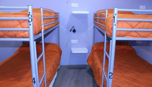 Bed in 8-Bed Mixed Dormitory Room