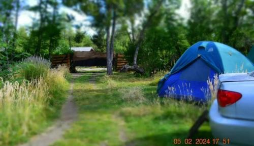 Tent