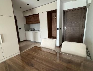 Deluxe One-Bedroom Apartment