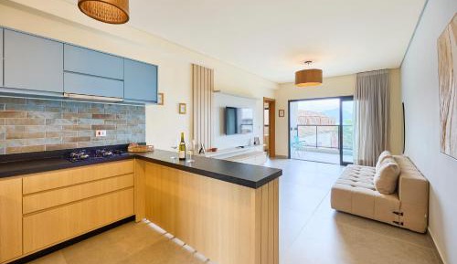 Deluxe One-Bedroom Apartment
