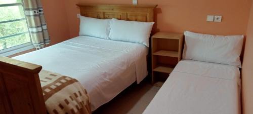 Single Room with Private Bathroom