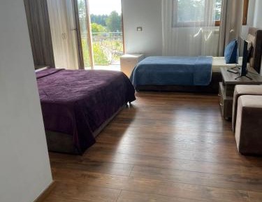 Triple Room with Mountain View