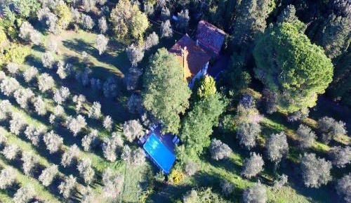 Five-Bedroom Holiday Home
