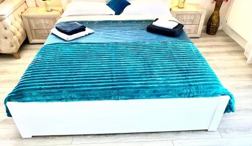 Deluxe One-Bedroom Apartment