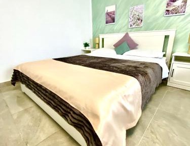 Deluxe One-Bedroom Apartment
