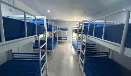 Single Bed in Mixed Dormitory Room