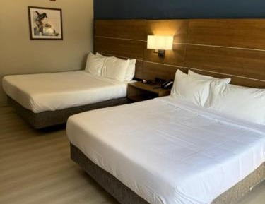 Quadruple Room with Two Queen Beds - Non Smoking