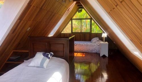 Standard Single Room with Mountain View