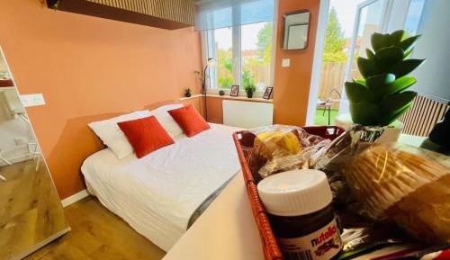 Studio with Sofa Bed