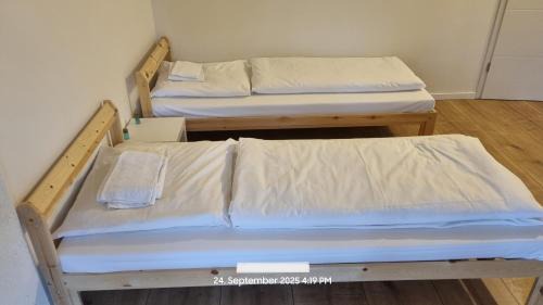 Twin Room with Shared Bathroom