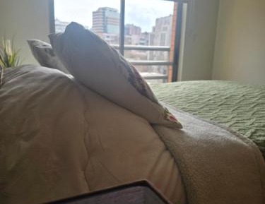 Three-Bedroom Apartment with View