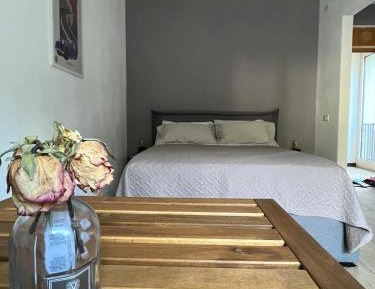Studio Apartment with Queen Bed
