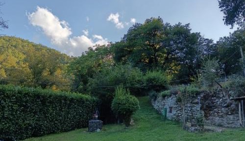 Double Room with Garden View