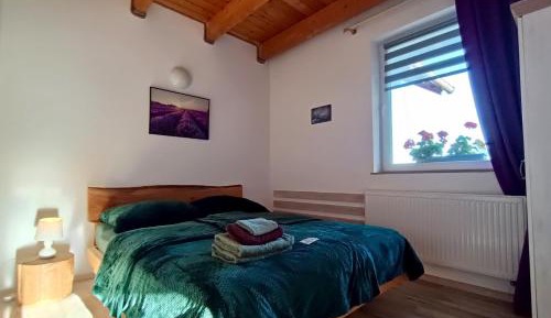 Apartment with Mountain View