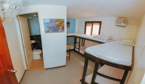 Bunk Bed in Mixed Dormitory Room