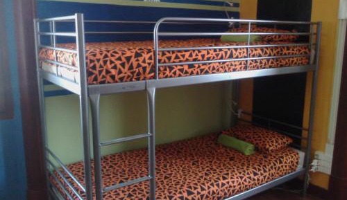 Bunk Bed in Mixed Dormitory Room