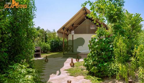 Signature Jurassic Tent