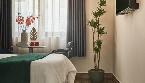 King Room with Garden View