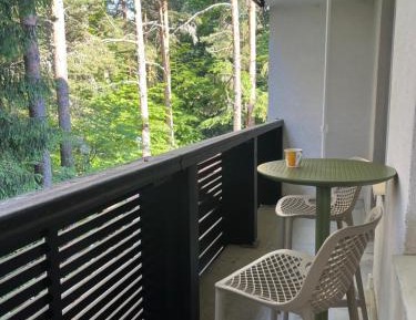 Apartment with Mountain View