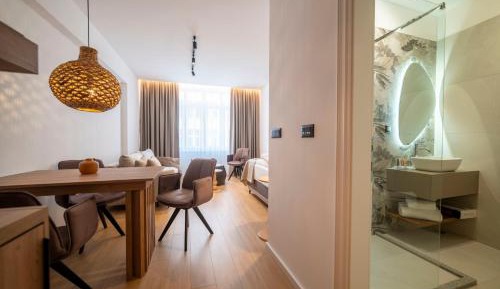 Deluxe One-Bedroom Apartment with City View