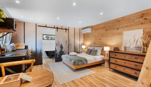 Superior One-Bedroom Apartment
